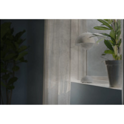 Electrolux EFWCLN3 Oro valytuvo filtras