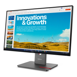 Lenovo ThinkVision P24QD-40 computer monitor 60.5 cm (23.8") 2560 x 1440 pixels Quad HD LCD Black