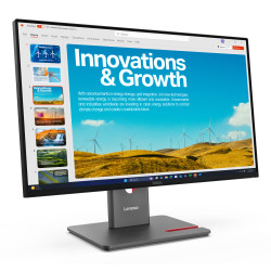 Lenovo ThinkVision P24QD-40 computer monitor 60.5 cm (23.8") 2560 x 1440 pixels Quad HD LCD Black