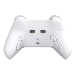 Turtle Beach TBC-3101-15 žaidimų valdiklis Juoda Bluetooth/USB Žaidimų pultelis PC, PlayStation 4, PlayStation 5