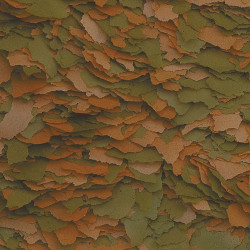 Tropical TRO77156