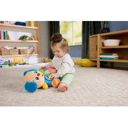 Fisher-Price Laugh & Learn JFD21 stuffed toy