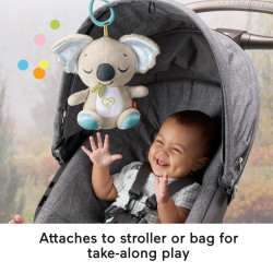 Fisher-Price JBD65 stuffed toy