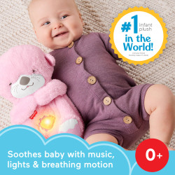 Fisher-Price JLJ33 stuffed toy