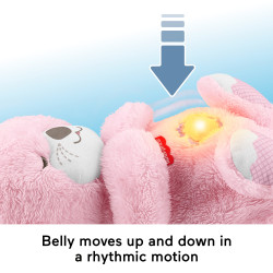 Fisher-Price JLJ33 stuffed toy