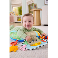 Fisher-Price JHB44 lavinamasis žaislas