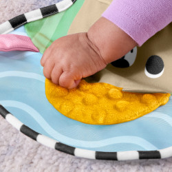 Fisher-Price JHB44 learning toy