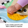 Fisher-Price JHB44 lavinamasis žaislas