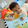 Fisher-Price HYR60 baby gym/play mat Fabric, Plastic Multicolour