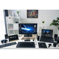 ASUS Triple 4K Thunderbolt 4 Dock DC500 Vielinis Juoda