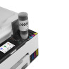 Canon MAXIFY GX2050 Rašalinis A4 600 x 1200 DPI „Wi-Fi“