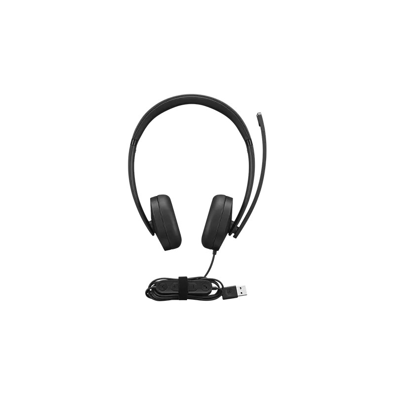 Lenovo 4XD1P83425 Ausinės be mikrofono ir ausinės su mikrofonu Laisvų rankų įranga Vielinis Su lankeliu Skambučiai / muzika USB 