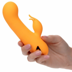 CALEXOTICS D-239980