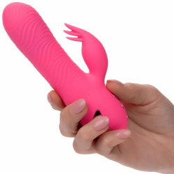 CALEXOTICS D-239982