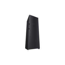 LG GLT51MCGSF šaldytuvas Pastatomi 386 L Juoda