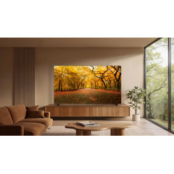 TCL C8L 98C8L TV 2.49 m (98") 4K Ultra HD Smart TV Wi-Fi Black 6000 cd/m²