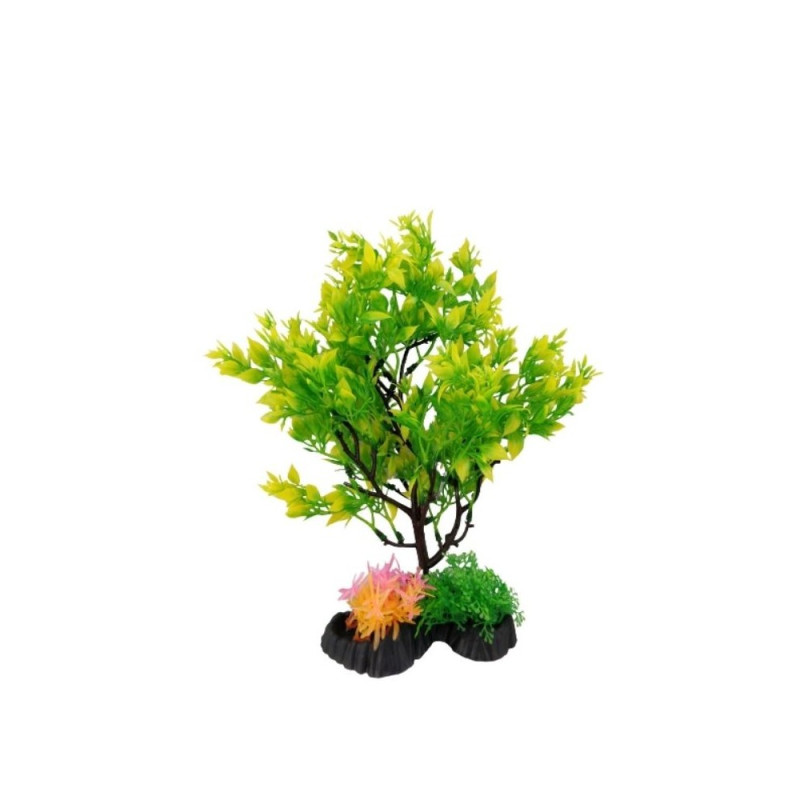 XFAT803