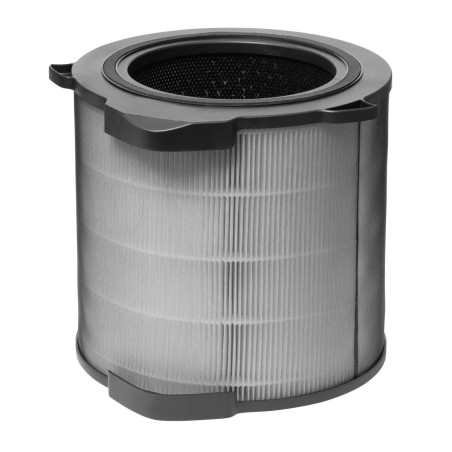 Electrolux EFDCLN4E Oro valytuvo filtras