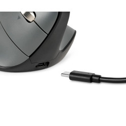 BakkerElkhuizen FastForward Pro mouse kompiuterio pelė Biuras Dešinės rankos RF Wireless + Bluetooth + USB Type-C Optinis 5000 D
