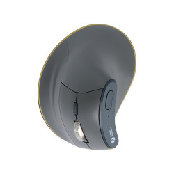 BakkerElkhuizen FastForward kompiuterio pelė Biuras Dešinės rankos RF Wireless + Bluetooth + USB Type-C Optinis 500 DPI