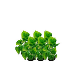 XFAT407