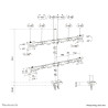 Neomounts DS60-600BL2-2 monitor mount / stand 81.3 cm (32") Desk Black