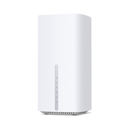 TP-Link Archer NB450 wired router 2.5 Gigabit Ethernet White