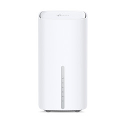 TP-Link Archer NB450 laidinis maršrutizatorius 2.5 Gigabit Ethernet Balta