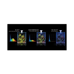 Aquael Shrimp Set Smart Day&Night 10 Black akvariumas su įranga krevetėms 10 l