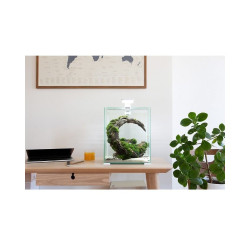 Aquael Shrimp Set Smart Day&Night 10 Black akvariumas su įranga krevetėms 10 l