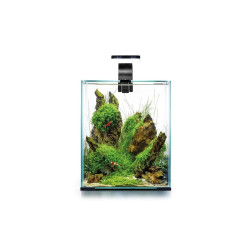 Aquael Shrimp Set Smart Day&Night 10 Black akvariumas su įranga krevetėms 10 l