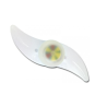 Esperanza EOT006 Bicycle wheel shine