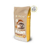 Kraikas graužikams Asan Pet Pure, 42 l