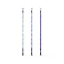 AQE124235