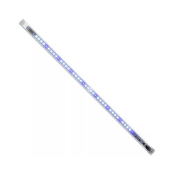 AQE124235