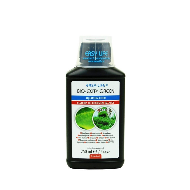 ESLBEG0250