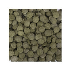 Tropical HI-Algae Discs pašaras žuvims 100 ml