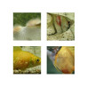 Aquarium Munster AMUN135200