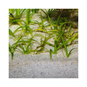 JBL gruntas Sansibar River 10 kg (0,8 mm)