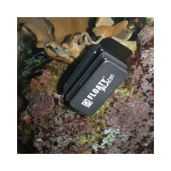 JBL JBL6135000