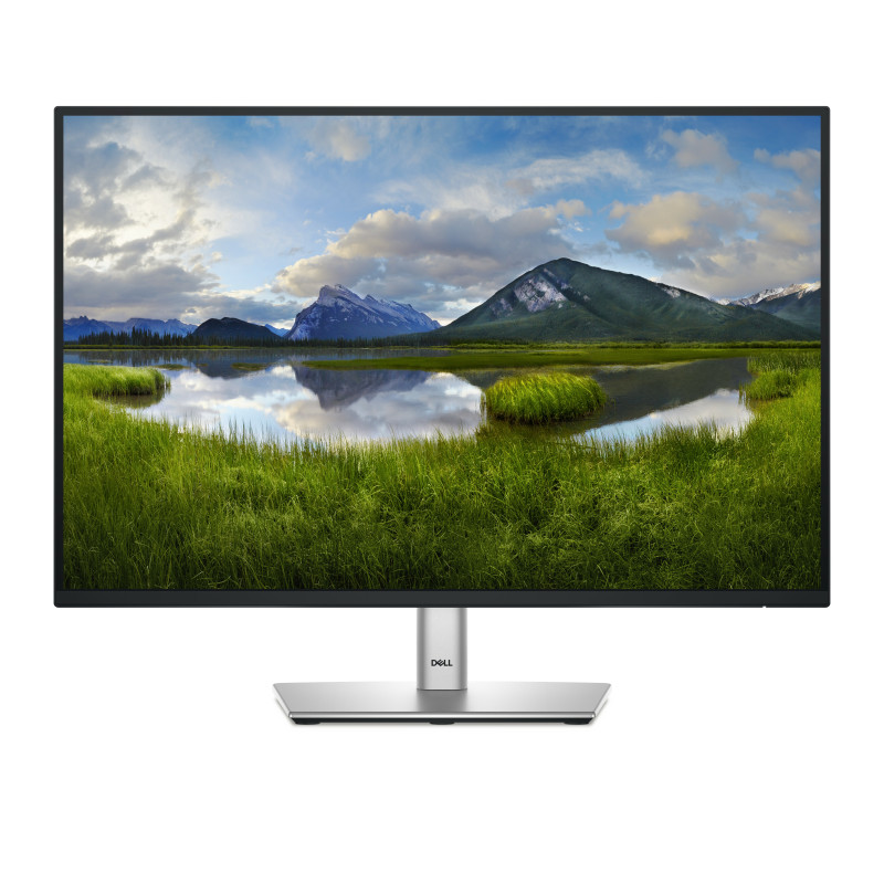 DELL Pro Plus P2425 kompiuterio monitorius 61,1 cm (24.1") 1920 x 1200 pikseliai WUXGA LCD Juoda