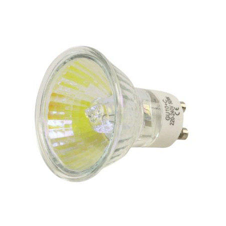 KONIG STUDIO-10-LAMP