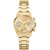 Guess GW0933L2 Women's watch / silver