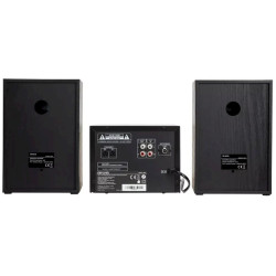 Aiwa MSBTU-300 Microsystem