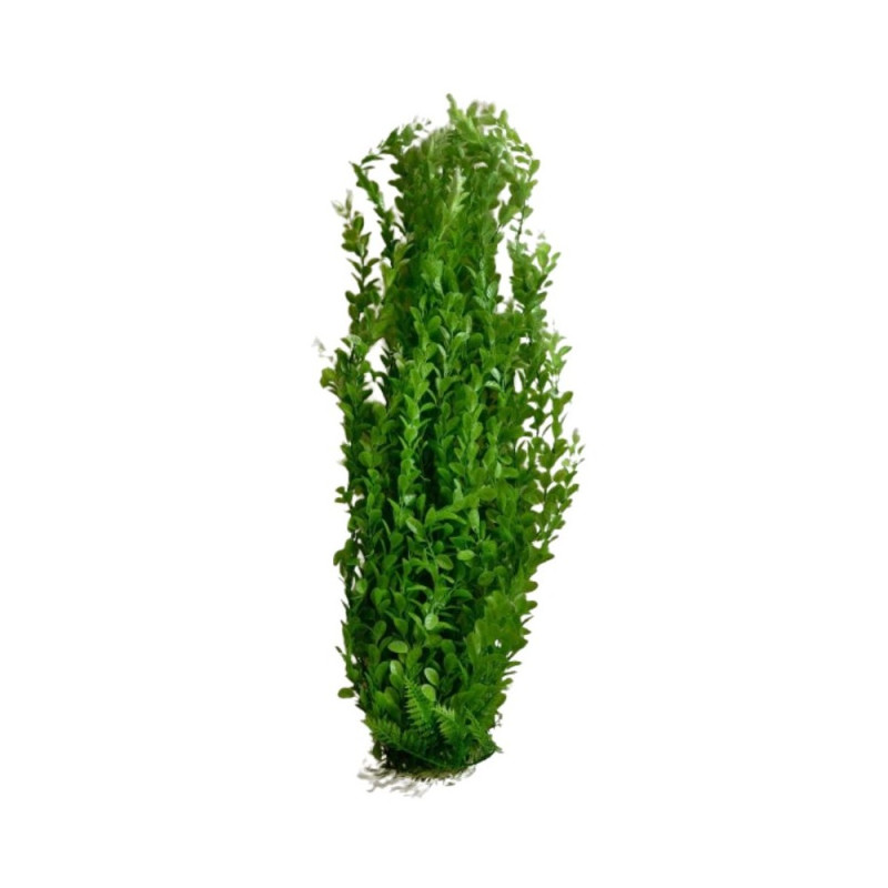 XFAXF097804