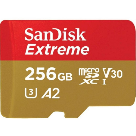 SanDisk SDSQXAV-256G-GN6MA