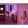 Philips Hue Light switch Smart switch / white
