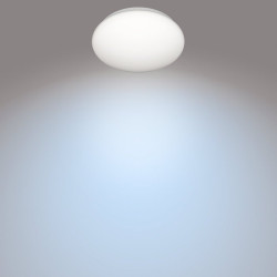 Philips Moire Ceiling Light 17W Metal/Plastic 32 x 6.8 cm 4000 K / white
