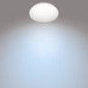 Philips Moire Ceiling Light 17W Metal/Plastic 32 x 6.8 cm 4000 K / white