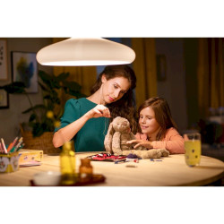 Philips 929002026155 LED Bulb E27 10.5W 1521lm 2700K